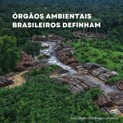 Desmatamento
